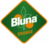 Logo_Bluna-Orange_Raute_CMYK